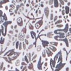 Ein Businesshemd im Print Muster in der Farbe Blau