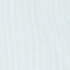 Ein Businesshemd im uni Muster in der Farbe Mint