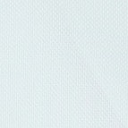 Ein Businesshemd im uni Muster in der Farbe Hellgrün