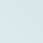 Ein Businesshemd im uni Muster in der Farbe Hellgrün